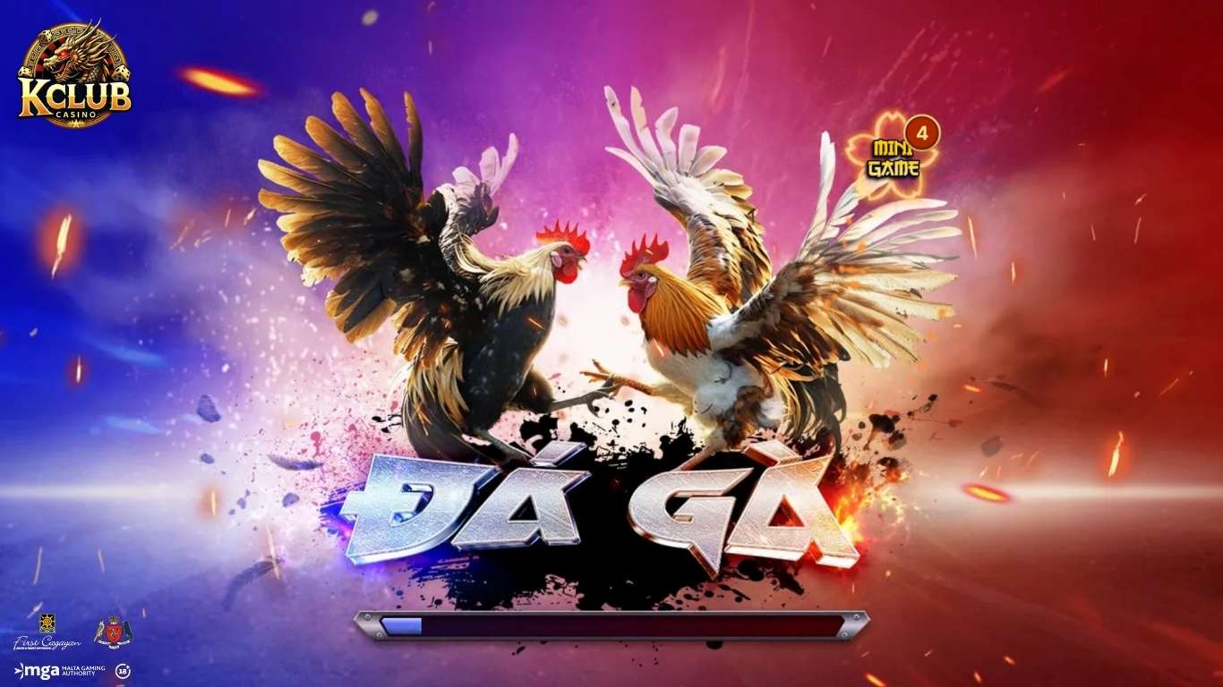 Khám phá thông tin sơ lược về đá gà Kclub